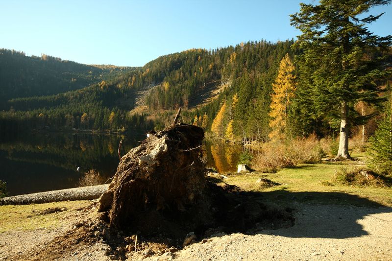 Datei:Ödensee 77917 2014-11-03.jpg