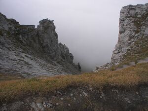 Brotrinnl 18503 2006-09-25.jpg