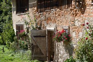 Moarhof-Meierhof st.Gallen-0196-2025-09-15.jpg