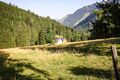 Riedleralm 1500 13-08-07.jpg