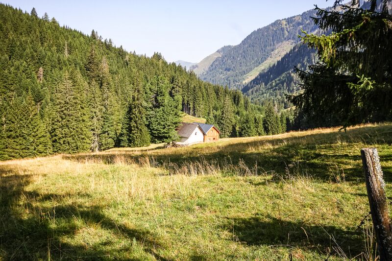 Datei:Riedleralm 1500 13-08-07.jpg