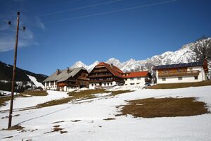 Rojer-pois ramsau 19144 2016-02-22.jpg