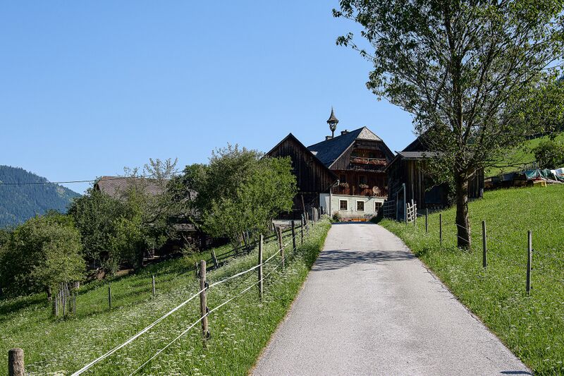 Datei:Vlg Klein hinterwald 61-0127-2025-07-02.jpg