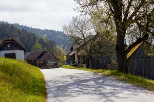 Vlg gassner neusiedlweg-30088-2023-05-04.jpg