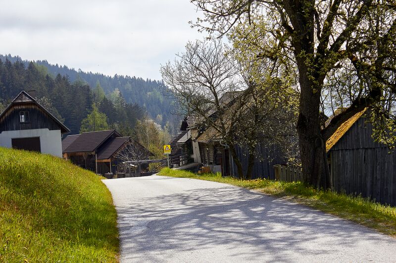Datei:Vlg gassner neusiedlweg-30088-2023-05-04.jpg