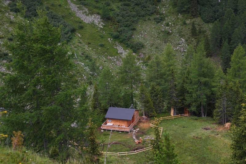 Datei:Wildkar 2184 2009-07-25.jpg