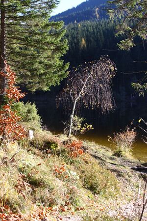 Ödensee 78064 2014-11-03.jpg