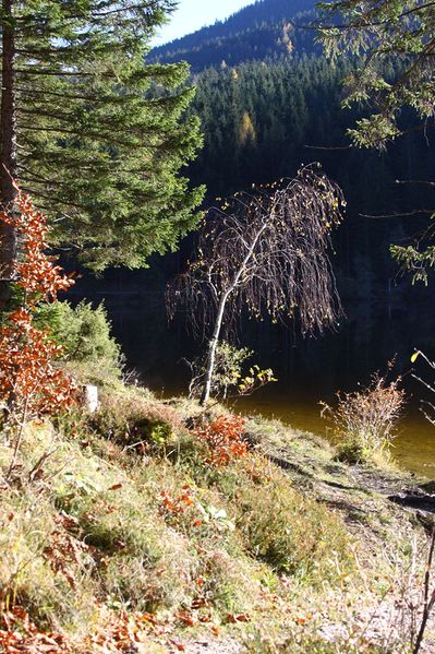 Datei:Ödensee 78064 2014-11-03.jpg