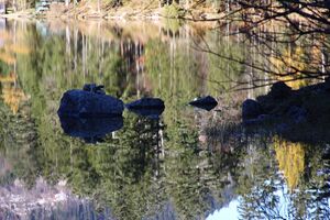 Ödensee 78073 2014-11-03.jpg