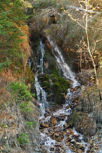 Datei:Almseeteich burgstaller 13953 2015-11-12.jpg