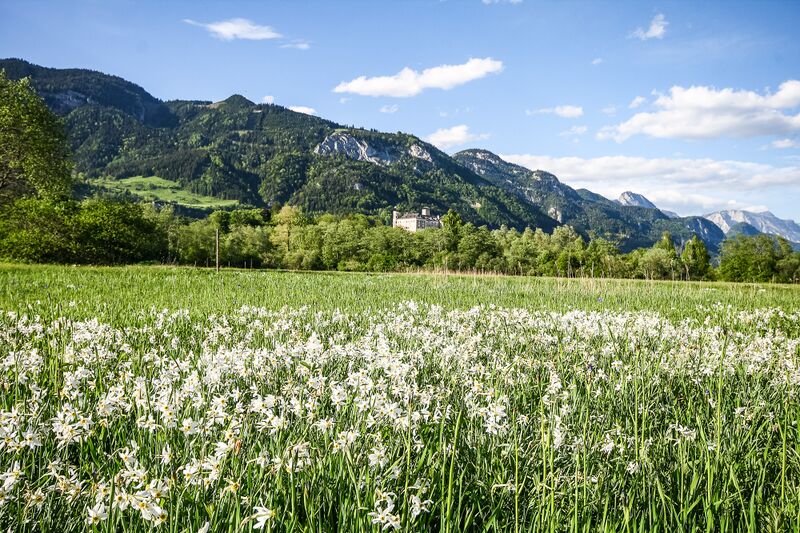 Datei:Europaschutzgebiet niederstuttern5132.jpg