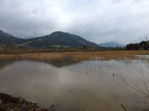 Frauenberger Torfstich70289.JPG