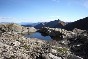 Goldlacken 0243 2013-10-08.jpg