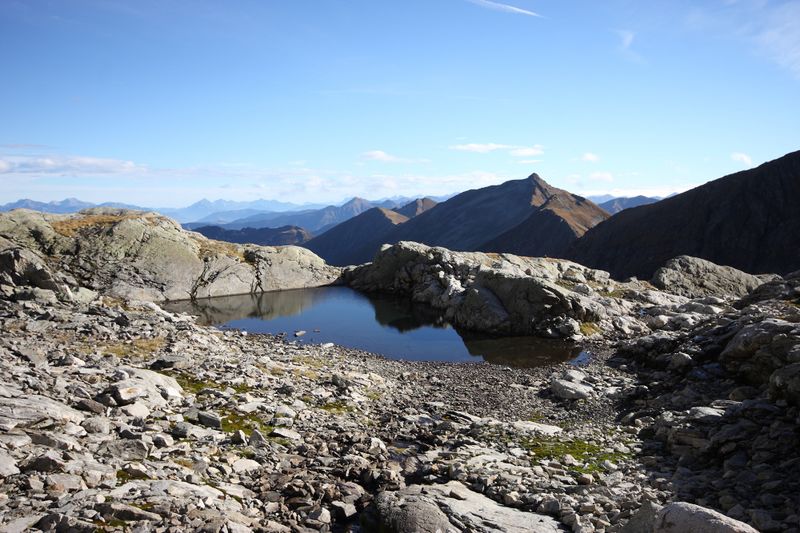 Datei:Goldlacken 0243 2013-10-08.jpg