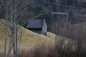 Heuhütte bei gatschberg 34756 2014-01-20.jpg