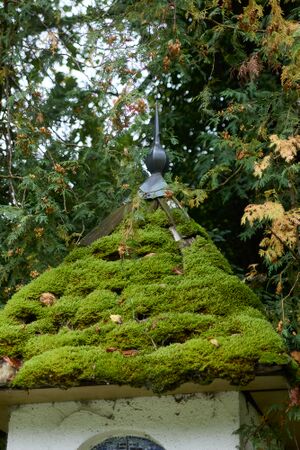 Lindenhofkapelle Buchau 58-35-2025-09-15.jpg