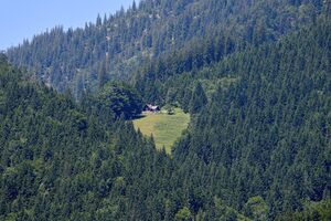 Naturfreundehütte palfau-0798-2025-06-24.jpg