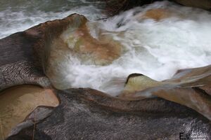 PreuneggbachIMG 5571.jpg