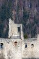 Ruine Gallenstein-0072-2025-03-21.jpg