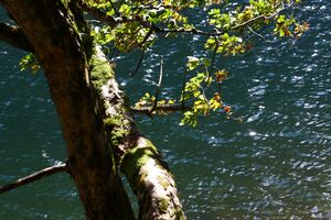 Schwarzensee kleinsölk 72563 2014-09-17.jpg