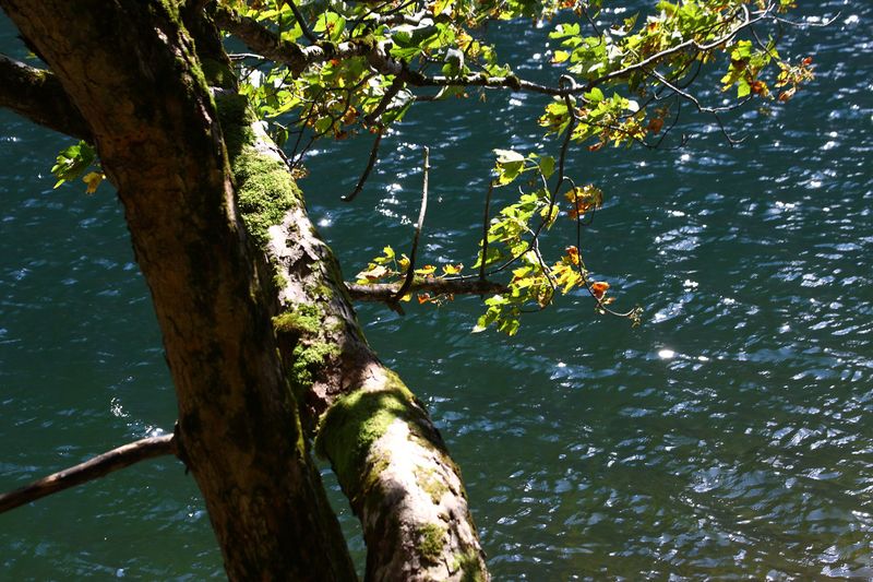 Datei:Schwarzensee kleinsölk 72563 2014-09-17.jpg