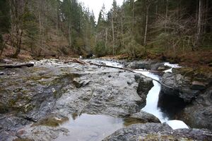 Strubschlucht 34637 2014-01-20.jpg