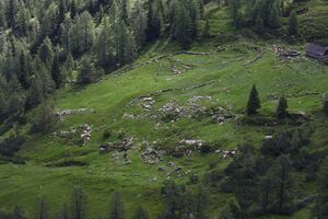 Waidhofhütten wölzer tauern 65975 2014-07-01.jpg