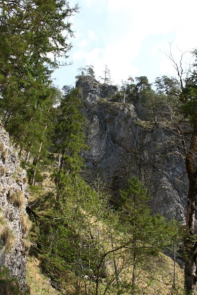 Datei:Wasserlochklamm palfau 70498 2018-04-23.jpg