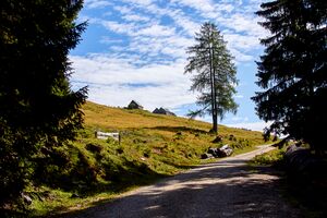 Bärenfeichtenalm-3101-2021-08-03.jpg