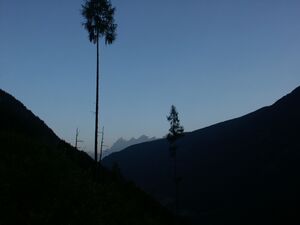 Dachstein untertal 0258 2005-07-28.jpg