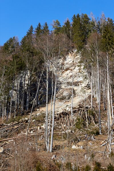 Datei:Felssturz luserfall-0027-2023-03-05.jpg