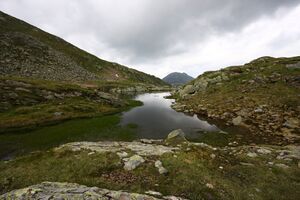 Grubersee katschtal 0053 13-07-15.jpg
