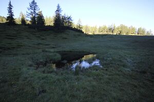 Gumpenkar 53241 2017-07-05.jpg