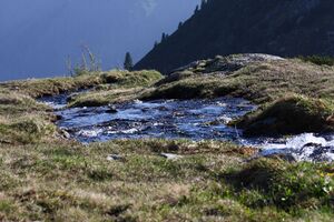 Höllbach-vom sabinkar 89976 2015-06-08.jpg