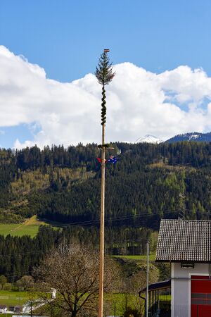 Maibaum st.martin-3000233-2023-04-30.jpg