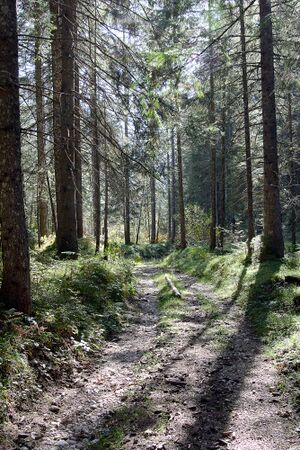 Mooshalt Bad M-0332-2023-10-13.jpg