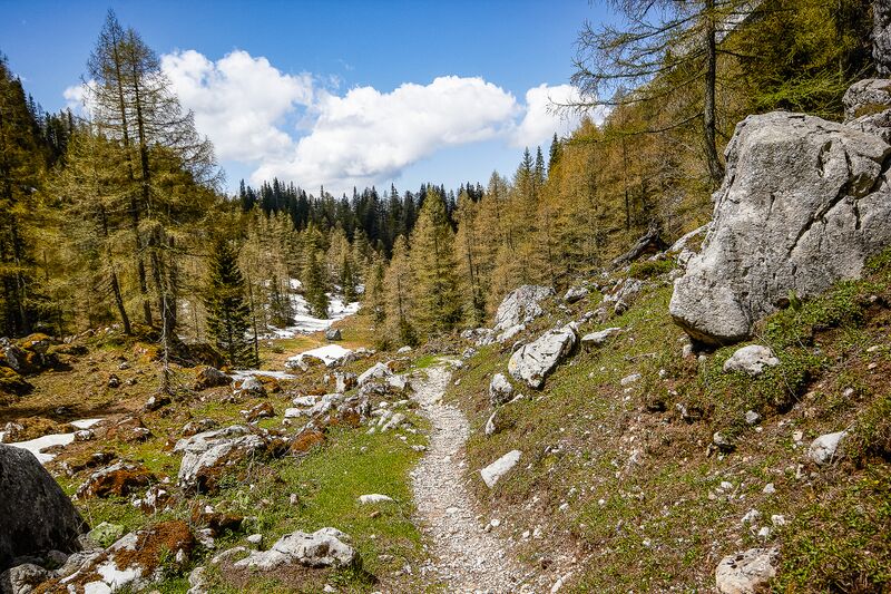 Datei:Obere koderboden-1001-2020-05-18.jpg