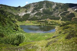 Plannersee 65257 2014-06-26.jpg