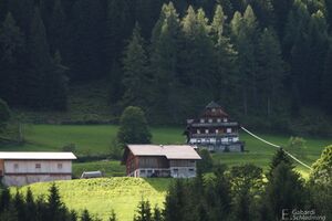 Schlapfer-rohrmoos 1453.jpg