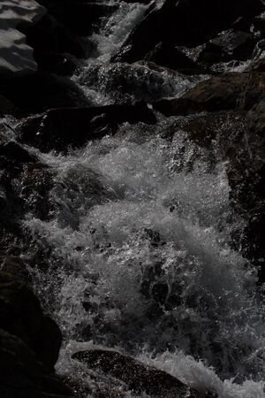 Stierkarseebach 1078 2008-06-25.jpg