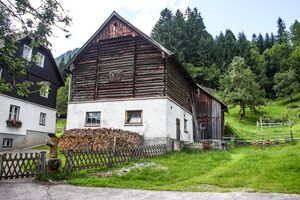 Tasererkeusche prenten-3100-2012-07-18.jpg