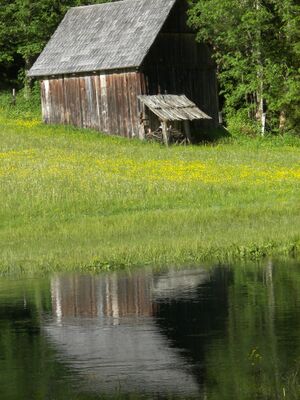 Tettermoor 12619 2006-06-18.jpg