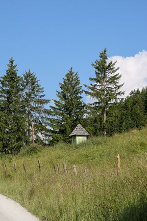 Bildstock Schwaigberger-0093-2023-06-14.jpg