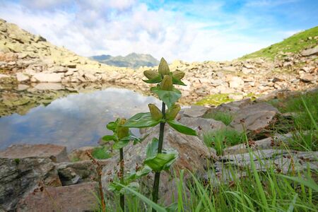 Hasenecksee großsölk 31937 2016-08-02.jpg