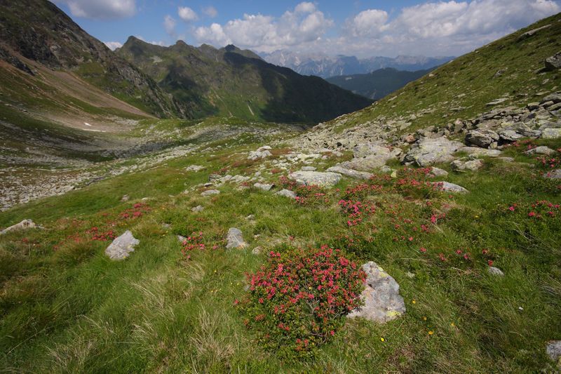 Datei:Herzmaierkar 32573 2011-07-06.jpg
