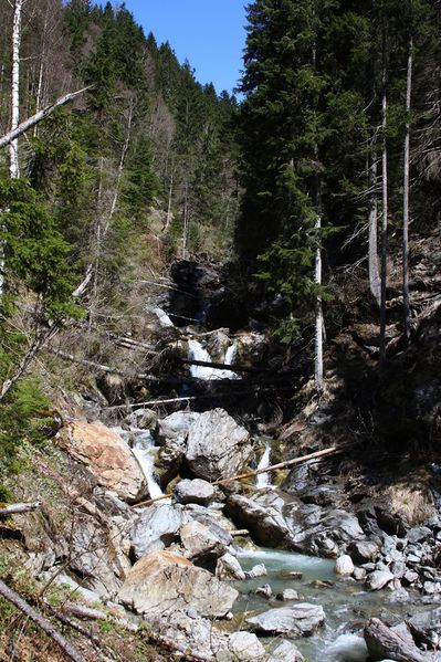 Datei:Kalte mandling027.jpg