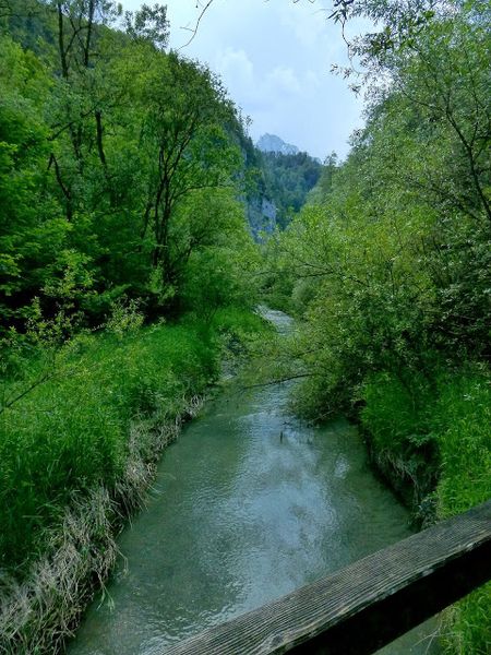 Datei:Lettmair Au05.JPG