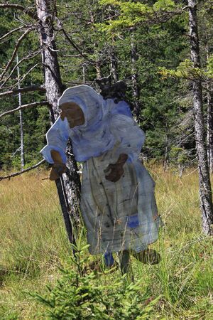 Märchenweg rittisberg 56816 2017-09-04.jpg