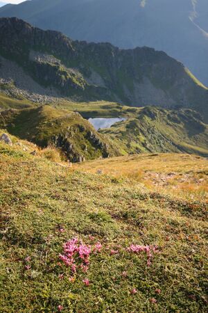 Nageleck-deneck 27154 2010-08-11.jpg