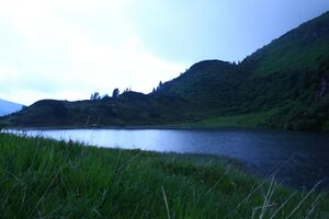 Plannersee 65227 2014-06-26.jpg